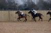 Oxford Polo 2022_12_11 0050
